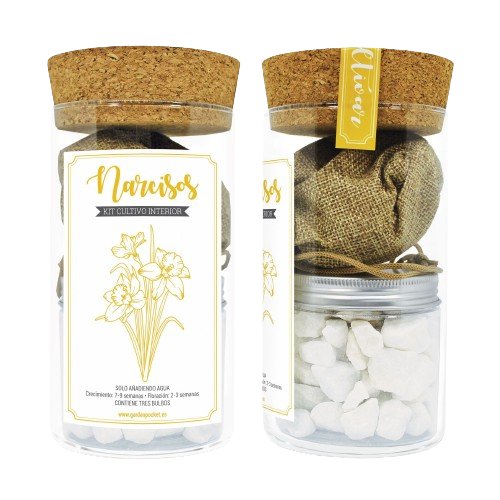Kit narcisos de Garden Pocket