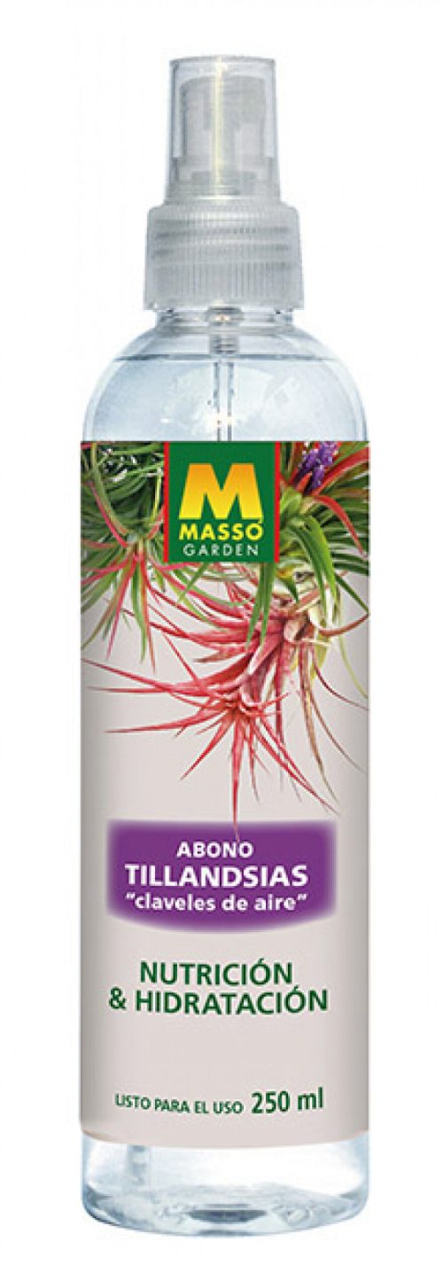Abono foliar para tillandsias 250 ml Massó – nutrición para plantas aéreas