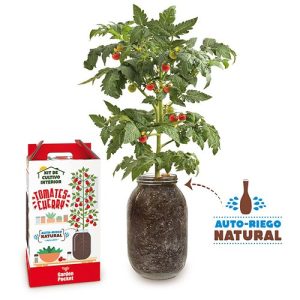 Kit de cultivo interior tomate cherry Garden Pocket